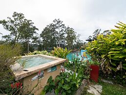 Gold Coast Tree Houses