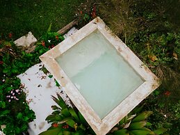 Gold Coast Tree Houses