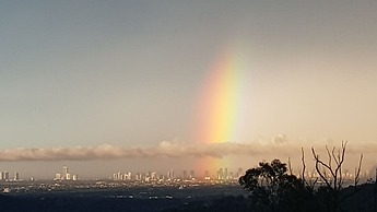 Gold Coast Tree Houses