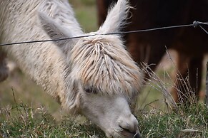 Gold Coast Tree Houses