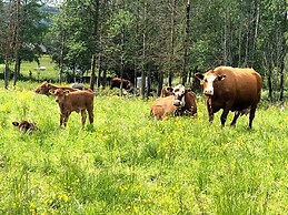 Strandgarden Hoverberg