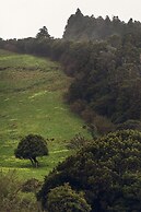 Liiiving in Açores-Mountain Island House