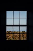 Liiiving in Açores - Ocean View House