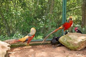 Parque Hotel Pimonte