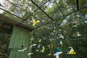 Parque Hotel Pimonte