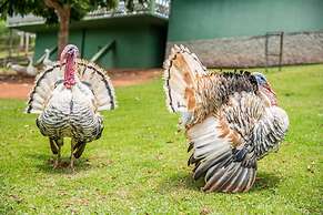 Parque Hotel Pimonte