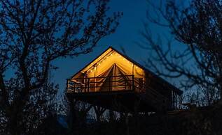 Gora Glamping