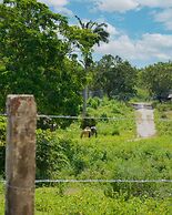 Viver Mais Hotel Fazenda