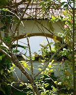 Viver Mais Hotel Fazenda