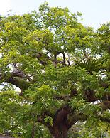 Viver Mais Hotel Fazenda