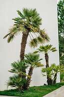 Elite Bay Hotel Lalez Durres