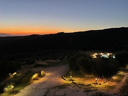 Fattoria La Pieve
