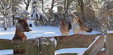 Ottenskamp4 en Het Achterhuis