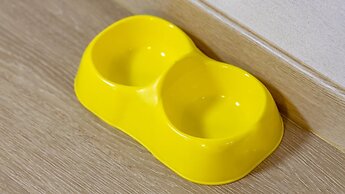 Gapyeong Walkingoncloud Pension&glamping