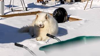 Gapyeong Walkingoncloud Pension&glamping