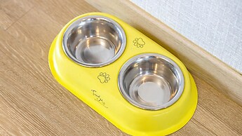 Gapyeong Walkingoncloud Pension&glamping