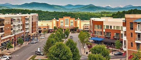 Embassy Suites By Hilton Asheville Downtown