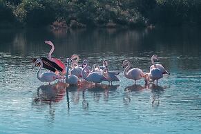 Il Glicine 1.5 Km From The Beach