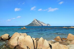 Il Glicine 1.5 Km From The Beach