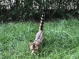 BEIJING SEASONS PARK APARTMENT