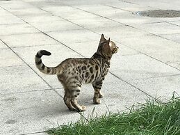 BEIJING SEASONS PARK APARTMENT