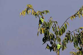 Kasar Himalaya Holiday Resorts