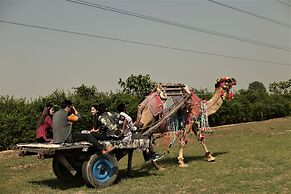 Delta 105 - A Military Themed Adventure Park