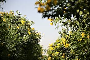 Delta 105 - A Military Themed Adventure Park