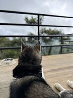 Nomada Republic Hotel El Valle