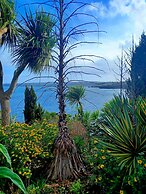 Belle Dene Guest House