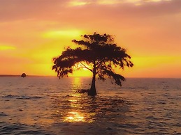 Bells Marina & Resort