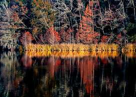 Bells Marina & Resort