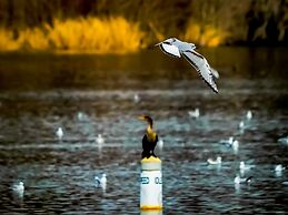 Bells Marina & Resort