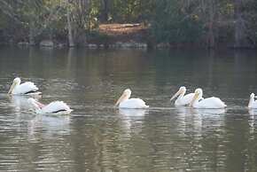 Bells Marina & Resort