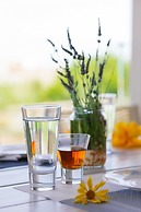 Stunning Villa Plumeria Rethymno