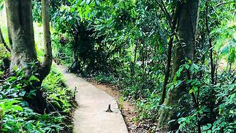 Ceylon Nature Hostel Kitulgala