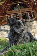 Wasikuna cabañas rurales tipo glamping