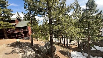 Tahoe Olympic 3 Bedroom Condo by RedAwning