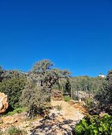 Tiny House & Horses Hébergement Atypique à Loulé