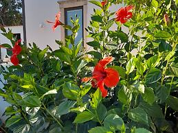 Tiny House & Horses Hébergement Atypique à Loulé