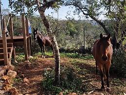Tiny House & Horses Hébergement Atypique à Loulé