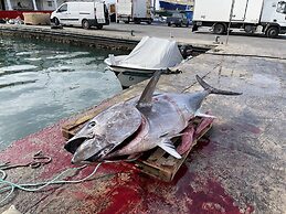 Ewa Apt - 3-bed Near Sliema - St Julians Seafront