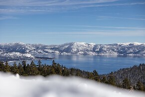 Taste Of Burgundy 1 Bedroom Condo by RedAwning