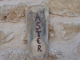 Two Bedroom Villa - Aster