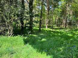 Pine Boutique Lodge With hot tub for Couples & dog