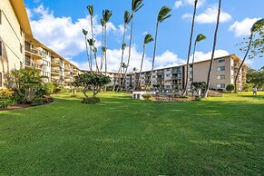 Kanai A Nalu 211 in Wailuku