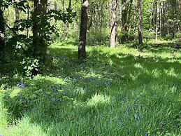 Oak Boutique Lodge Includes hot Tub, air con & dog