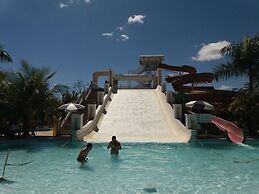 Lacqua DiRoma IV - Gran Caldas Reservas