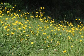 Room-luther King Grande Chambre Décor Mo