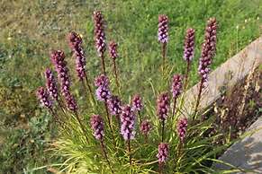 Room-luther King Grande Chambre Décor Mo